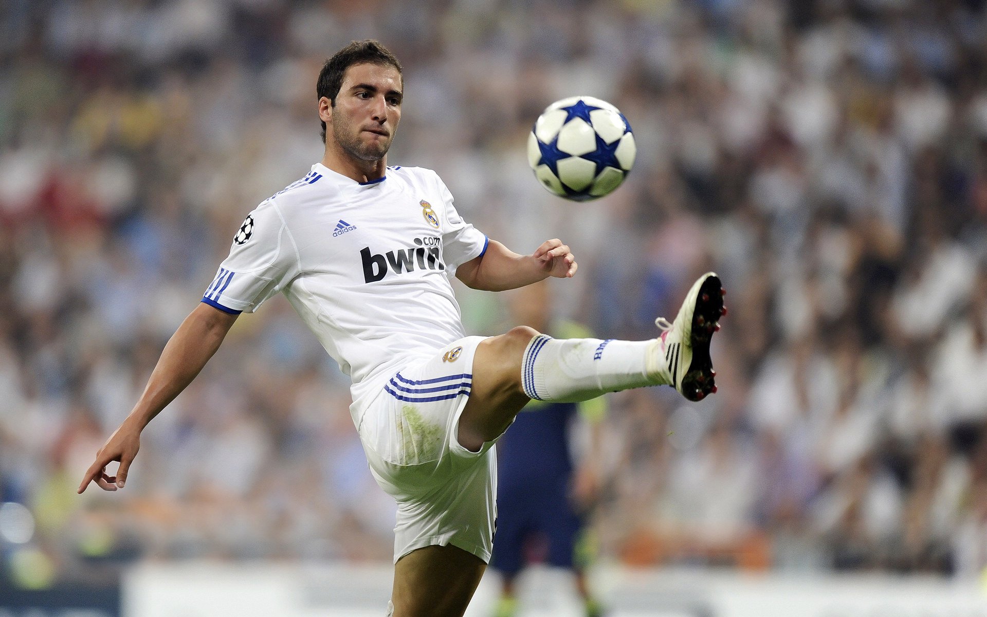 世界杯球迷口水战 社交媒体上多国球迷互飙数据